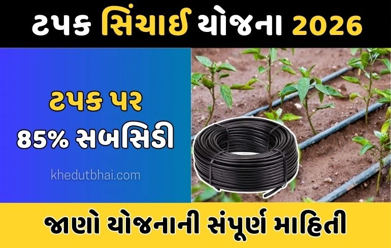 Tapak sinchay yojana 2026: સબસિડી, અરજી પ્રક્રિયા અને ફાયદા