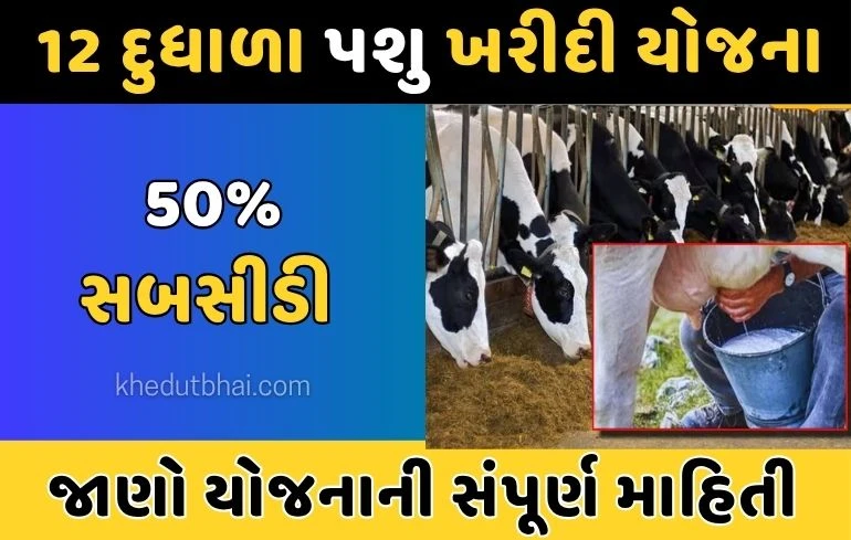Pashupalan sahay yojana: 12 દુધાળા પશુ ખરીદી માટે સહાય