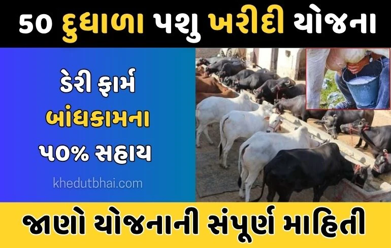 Pashupalan Yojana: ૫૦ દૂધાળા પશુ ડેરી ફાર્મ સહાય યોજના 2025